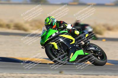 media/Jan-14-2024-SoCal Trackdays (Sun) [[2e55ec21a6]]/Turn 4 Tree of Life (155pm)/